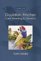 Gouldian Finches – Care Breeding & Genetics